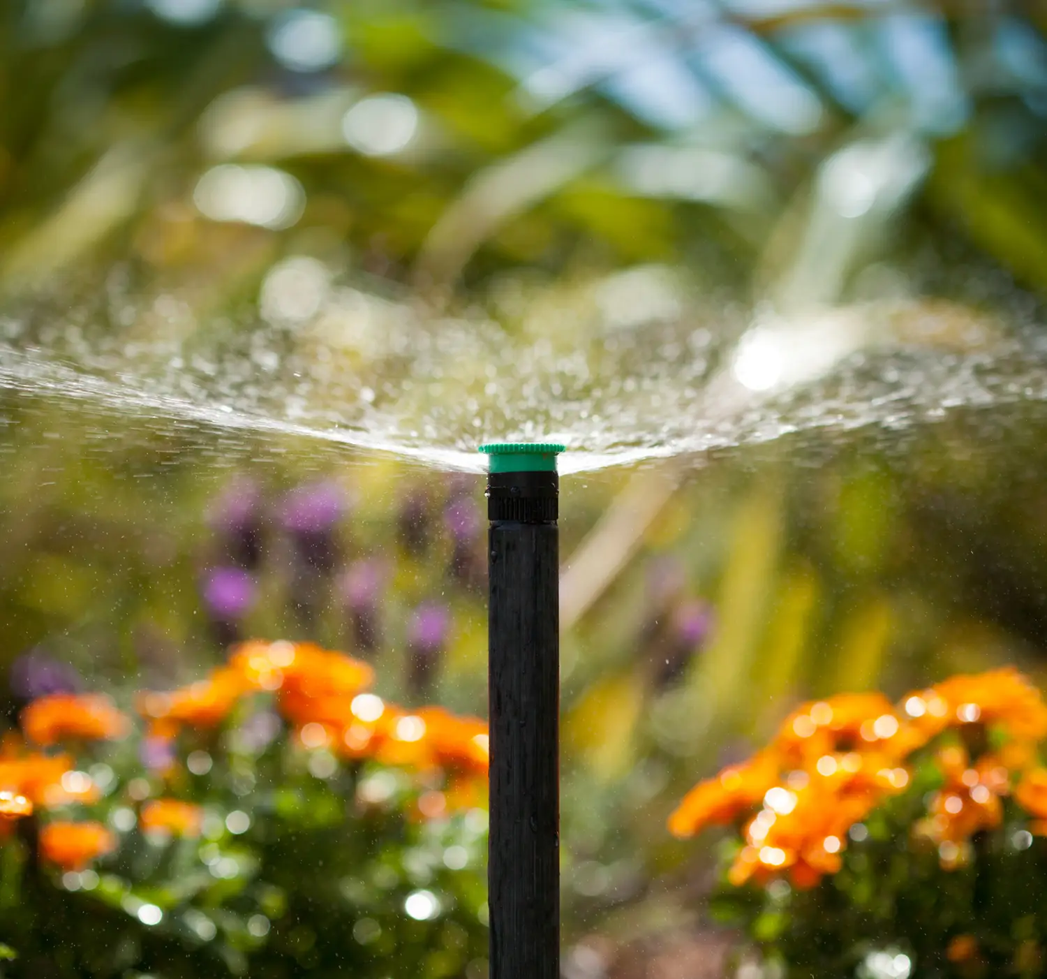 Home Toronto Irrigation